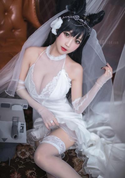 阿v欧美一区二区久久精品_高清完整版观看